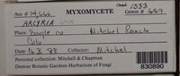 Image Associated With the Occurence